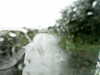 20200913-MOVI0006-frame0001.jpg