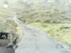 20200913-MOVI0006-frame0005.jpg