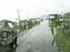 20200913-MOVI0008-frame0001.jpg
