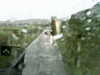 20200913-MOVI0008-frame0002.jpg