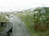 20200913-MOVI0009-frame0002.jpg