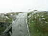 20200913-MOVI0010-frame0002.jpg