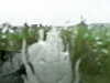 20200913-MOVI0010-frame0005.jpg