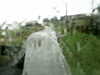 20200913-MOVI0011-frame0003.jpg