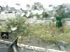 20200913-MOVI0018-frame0003.jpg