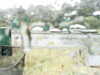 20200913-MOVI0018-frame0004.jpg
