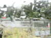 20200913-MOVI0019-frame0002.jpg