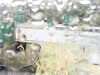 20200913-MOVI0020-frame0001.jpg