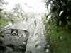 20200913-MOVI0022-frame0003.jpg