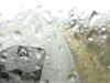 20200913-MOVI0023-frame0001.jpg