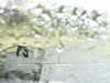 20200913-MOVI0024-frame0005.jpg