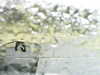 20200913-MOVI0025-frame0001.jpg