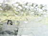 20200913-MOVI0025-frame0002.jpg
