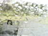 20200913-MOVI0025-frame0003.jpg