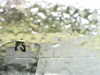 20200913-MOVI0025-frame0004.jpg