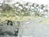 20200913-MOVI0025-frame0005.jpg