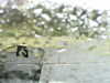 20200913-MOVI0026-frame0001.jpg