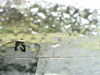20200913-MOVI0026-frame0002.jpg