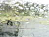 20200913-MOVI0026-frame0004.jpg