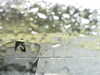 20200913-MOVI0026-frame0005.jpg