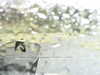 20200913-MOVI0027-frame0001.jpg