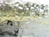 20200913-MOVI0027-frame0002.jpg
