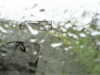 20200913-MOVI0027-frame0003.jpg