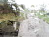 20200913-MOVI0027-frame0004.jpg
