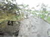 20200913-MOVI0029-frame0003.jpg