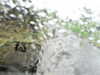 20200913-MOVI0029-frame0004.jpg