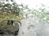 20200913-MOVI0029-frame0005.jpg