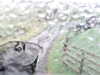 20200913-MOVI0030-frame0001.jpg