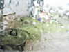 20200913-MOVI0030-frame0002.jpg