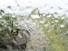 20200913-MOVI0030-frame0004.jpg
