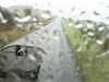 20200913-MOVI0031-frame0001.jpg