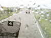 20200913-MOVI0033-frame0005.jpg