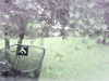 20200913-MOVI0035-frame0001.jpg