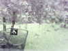 20200913-MOVI0035-frame0003.jpg