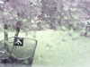 20200913-MOVI0035-frame0004.jpg