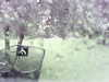 20200913-MOVI0036-frame0001.jpg