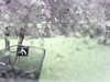 20200913-MOVI0036-frame0002.jpg