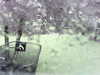 20200913-MOVI0036-frame0003.jpg