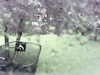 20200913-MOVI0036-frame0005.jpg