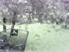 20200913-MOVI0037-frame0002.jpg