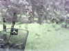 20200913-MOVI0037-frame0003.jpg