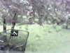 20200913-MOVI0037-frame0004.jpg