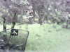 20200913-MOVI0037-frame0005.jpg