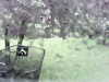 20200913-MOVI0038-frame0001.jpg