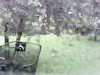 20200913-MOVI0038-frame0002.jpg