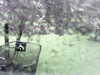 20200913-MOVI0038-frame0003.jpg